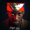 feat-img-baya
