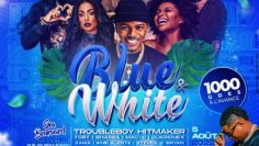 BLUE AND WHITE